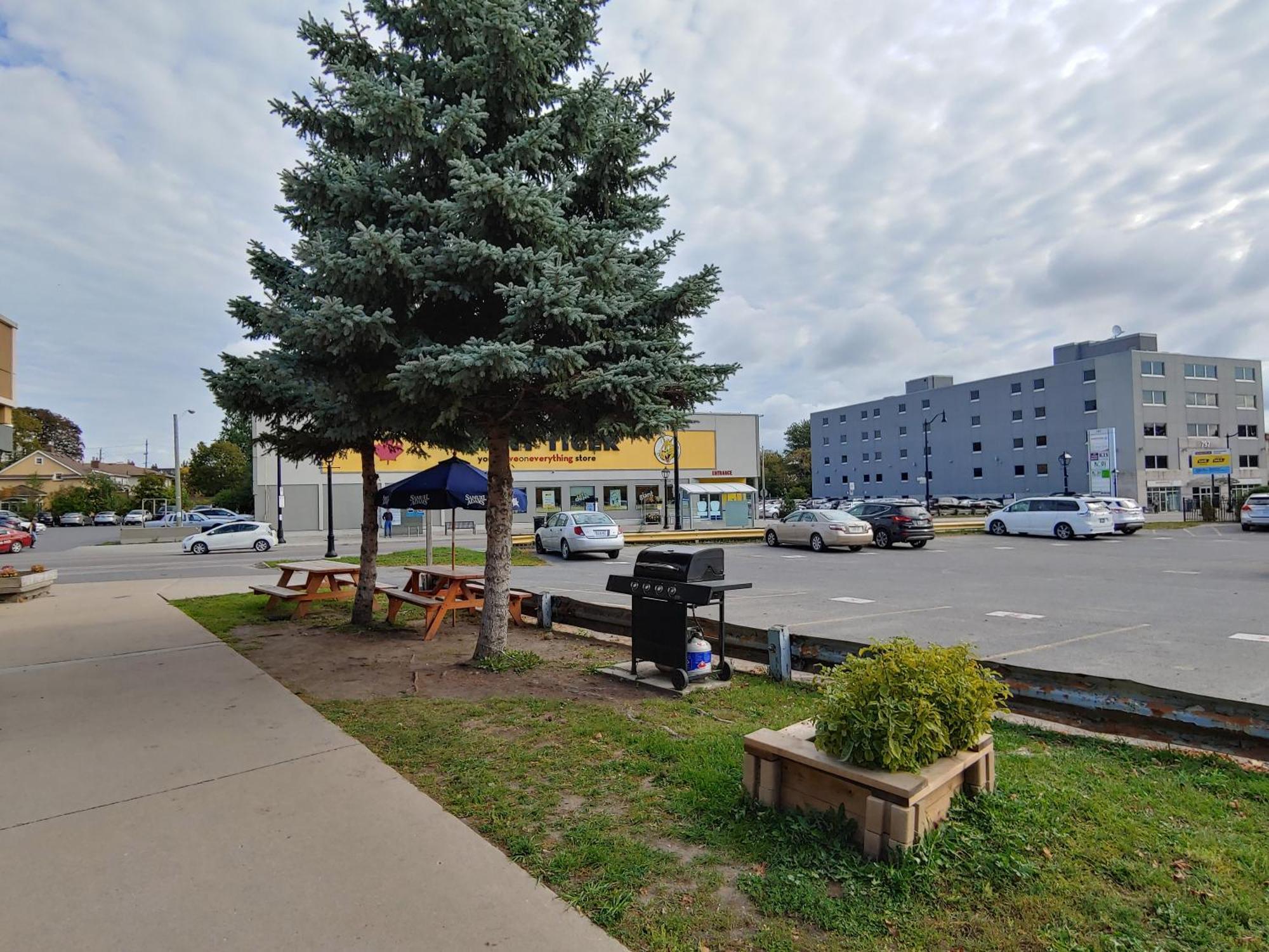 Econo Lodge City Centre Кингстън Екстериор снимка